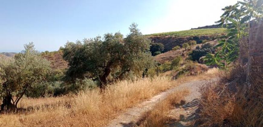 ALBONDON – Finca Rústica en Venta con cortijo para restaurar