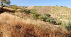 ALBONDON – Finca Rústica en Venta con cortijo para restaurar