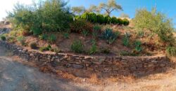 ALBONDON – Finca Rústica en Venta con cortijo para restaurar