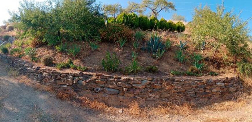 ALBONDON – Finca Rústica en Venta con cortijo para restaurar