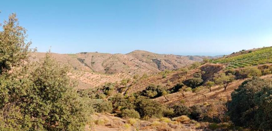 ALBONDON – Finca Rústica en Venta con cortijo para restaurar