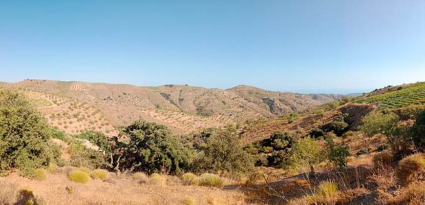ALBONDON – Finca Rústica en Venta con cortijo para restaurar