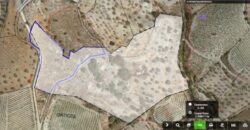 ALBONDON – Finca Rústica en Venta con cortijo para restaurar