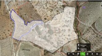 ALBONDON – Finca Rústica en Venta con cortijo para restaurar