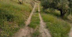 ALBONDON – Finca Rústica en Venta con cortijo para restaurar