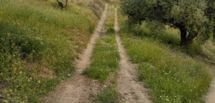 ALBONDON – Finca Rústica en Venta con cortijo para restaurar