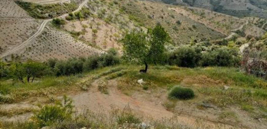 ALBONDON – Finca Rústica en Venta con cortijo para restaurar