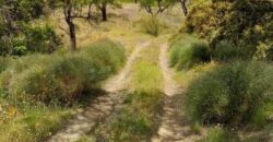 ALBONDON – Finca Rústica en Venta con cortijo para restaurar