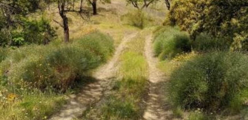 ALBONDON – Finca Rústica en Venta con cortijo para restaurar
