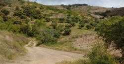ALBONDON – Finca Rústica en Venta con cortijo para restaurar
