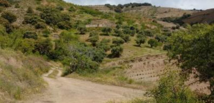 ALBONDON – Finca Rústica en Venta con cortijo para restaurar