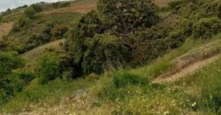 ALBONDON – Finca Rústica en Venta con cortijo para restaurar