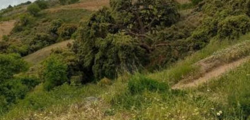 ALBONDON – Finca Rústica en Venta con cortijo para restaurar