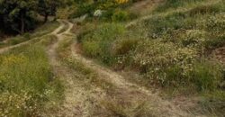 ALBONDON – Finca Rústica en Venta con cortijo para restaurar