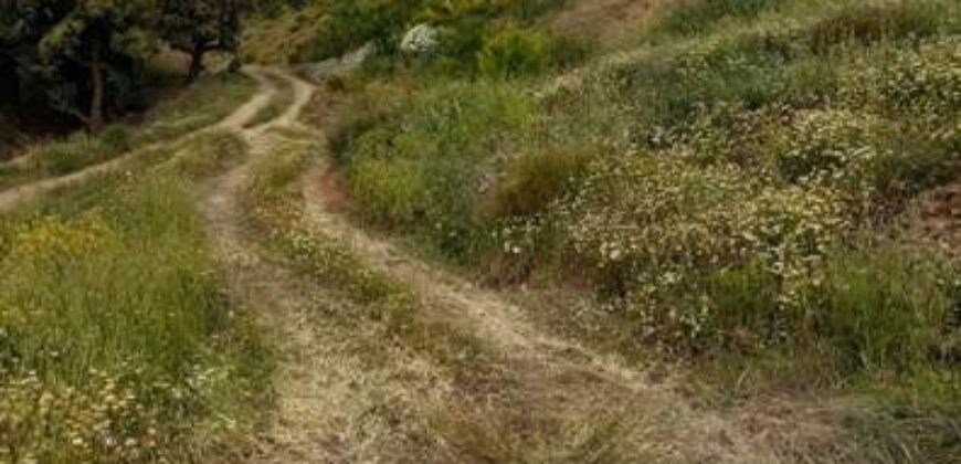 ALBONDON – Finca Rústica en Venta con cortijo para restaurar