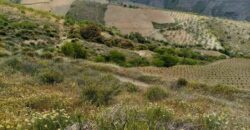 ALBONDON – Finca Rústica en Venta con cortijo para restaurar
