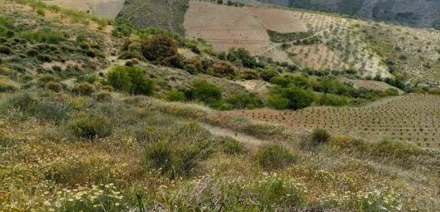 ALBONDON – Finca Rústica en Venta con cortijo para restaurar