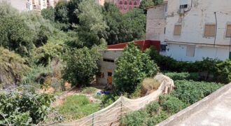 ZUJAR – Huerto Urbano en Venta