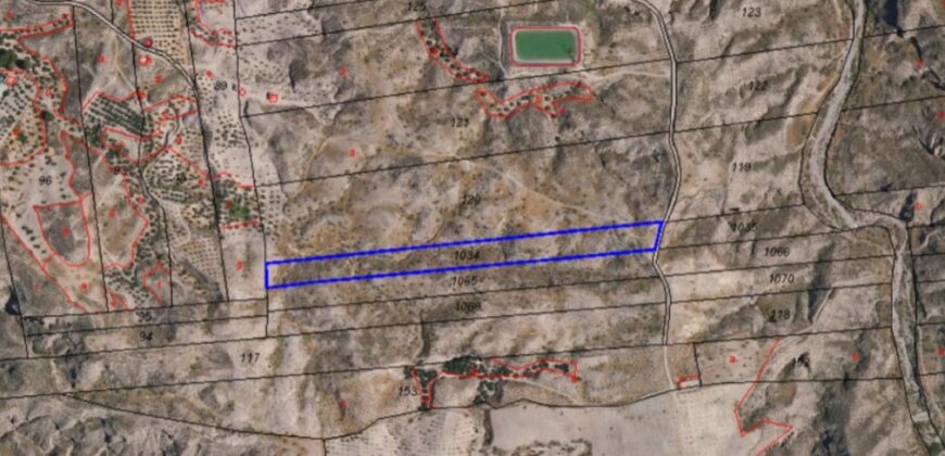 FREILA – Conjunto de Fincas Agrícolas Secano y Regadío