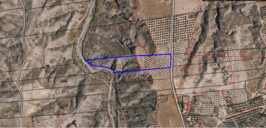 FREILA – Conjunto de Fincas Agrícolas Secano y Regadío