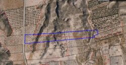 FREILA – Conjunto de Fincas Agrícolas Secano y Regadío