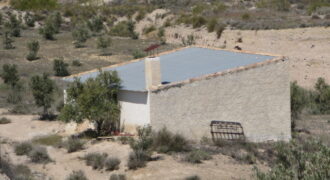 FREILA – Finca rústica en producción con Nave de Aperos