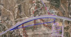 FREILA – Finca rústica en producción con Nave de Aperos