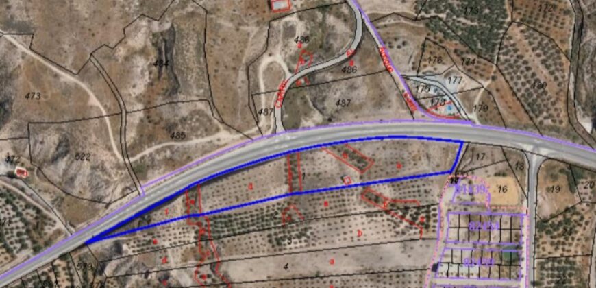 FREILA – Finca rústica en producción con Nave de Aperos