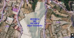 ZUJAR – Finca Urbanizable con Regadío en Venta