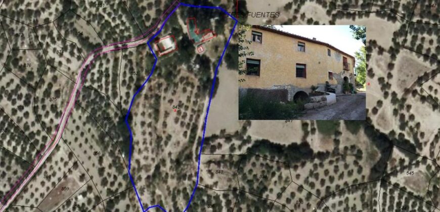ZUJAR – Finca Agrícola en Venta con Molino, Vivienda y Piscina