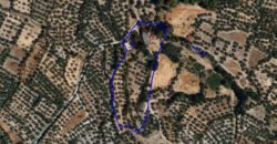 ZUJAR – Finca Agrícola en Venta con Molino, Vivienda y Piscina