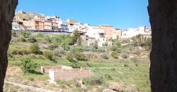 ZUJAR – Vivienda Reformada + Cueva + Apartamento Independiente