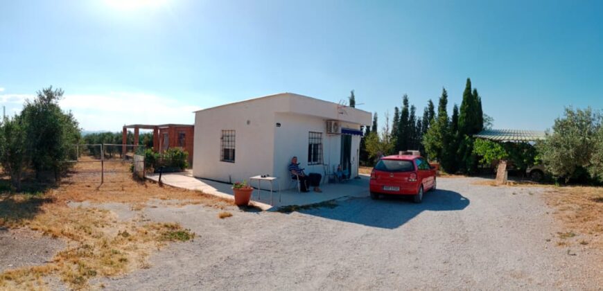 FREILA – Casa de campo en finca de Regadío