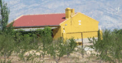FREILA – Cortijo con Cueva en finca agrícola de 8 hectáreas