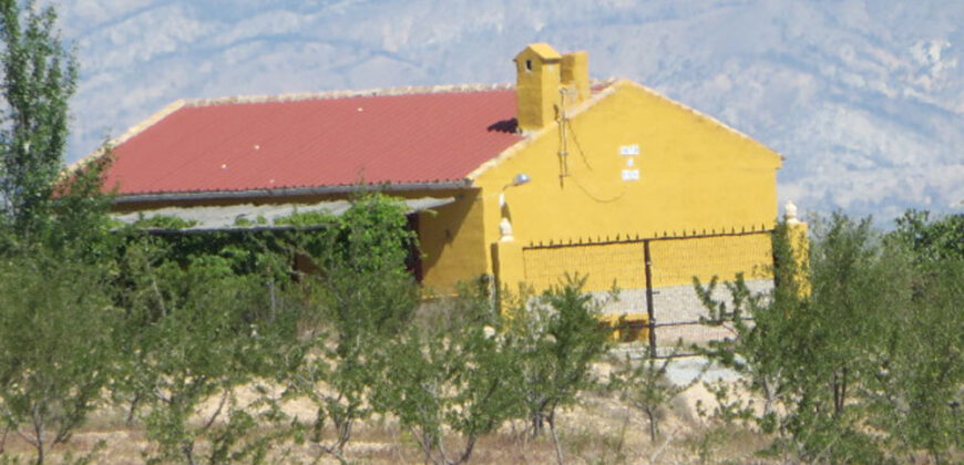 FREILA – Cortijo con Cueva en finca agrícola de 8 hectáreas
