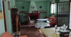 FREILA – Cortijo con Cueva en finca agrícola de 8 hectáreas