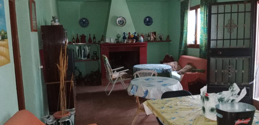 FREILA – Cortijo con Cueva en finca agrícola de 8 hectáreas