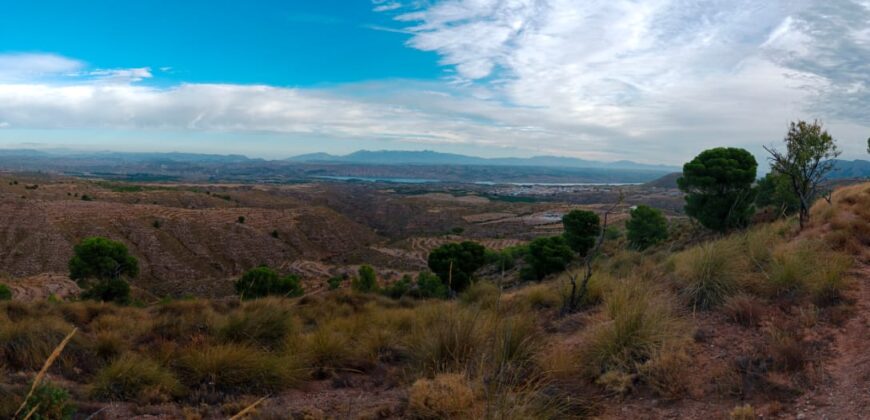 FREILA – Cortijo con Cueva en finca agrícola de 8 hectáreas