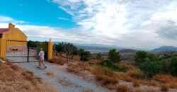 FREILA – Cortijo con Cueva en finca agrícola de 8 hectáreas