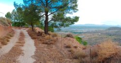 FREILA – Cortijo con Cueva en finca agrícola de 8 hectáreas