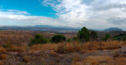 FREILA – Cortijo con Cueva en finca agrícola de 8 hectáreas