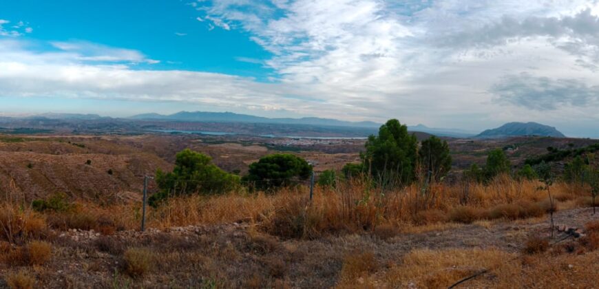 FREILA – Cortijo con Cueva en finca agrícola de 8 hectáreas