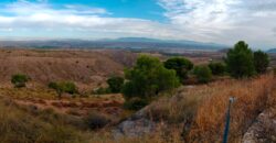 FREILA – Cortijo con Cueva en finca agrícola de 8 hectáreas
