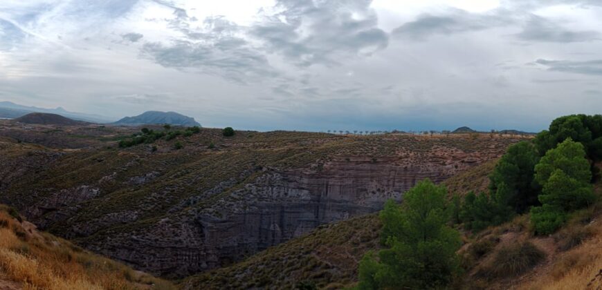FREILA – Cortijo con Cueva en finca agrícola de 8 hectáreas