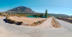 ZUJAR – Finca entre A315 y Camino Cementerio
