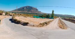 ZUJAR – Finca entre A315 y Camino Cementerio