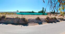 ZUJAR – Finca entre A315 y Camino Cementerio