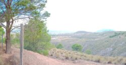 FREILA – Cortijo con Cueva en finca agrícola de 8 hectáreas