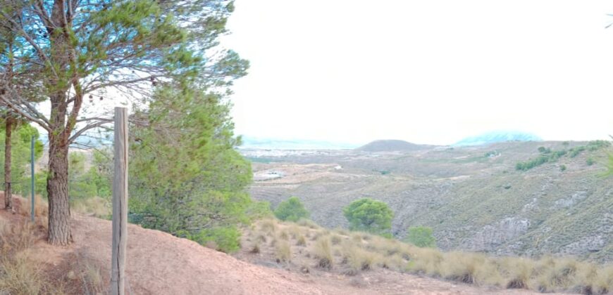 FREILA – Cortijo con Cueva en finca agrícola de 8 hectáreas